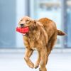 A durable and sturdy red grenade sounding toy suitable for large breeds of dogs; and a dog toy for cleaning teeth with non-toxic natural rubber